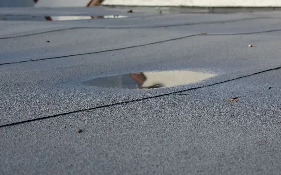 Environmentally Friendly Roofing