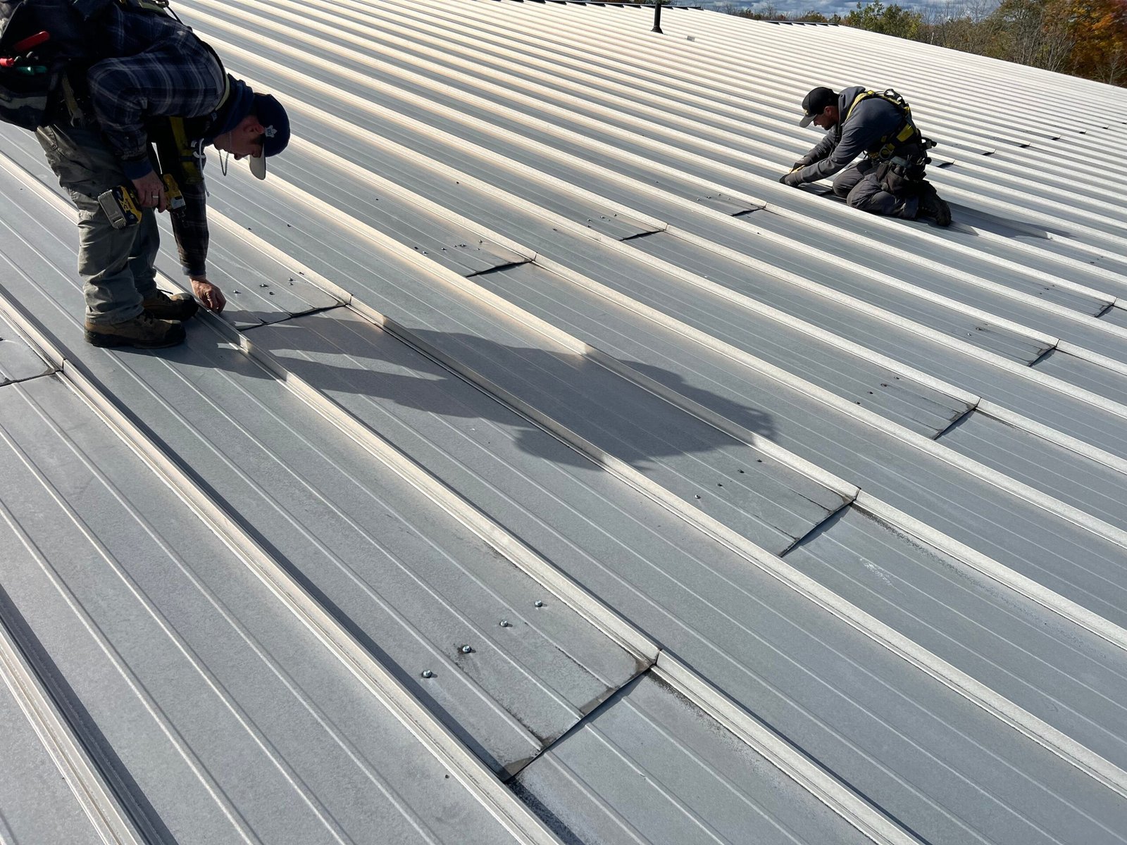 Calabogie Metal & Steel Roofing
