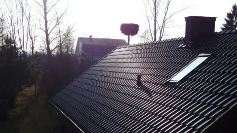 Prepare Roof for Spring